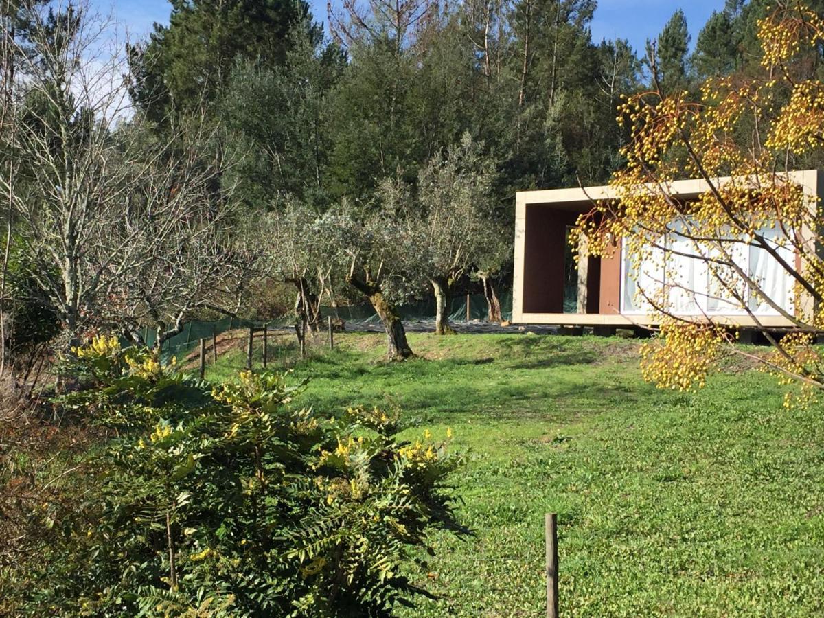 Adore Portugal Bungalow Natureza & Vista De Serra Lousa  Ngoại thất bức ảnh